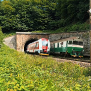 angur12