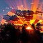 Forrest_Taylor