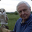 Sir.David.Attenborough