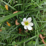 岂能郁郁久居人下