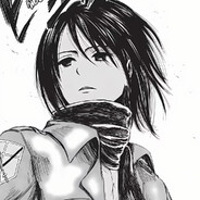mikasa