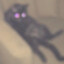 send feetki