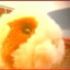 Muffin Purper-Gurk