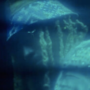 King of New York City