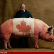 DCanadianBacon