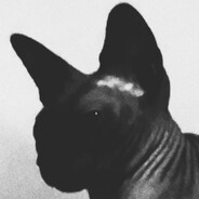¥₽ avatar
