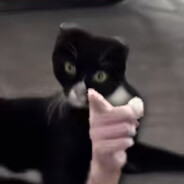 重生之几几路德爆炸了