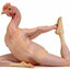 ChickenPotP