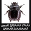 Джек Подрочитель