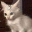 котоДРИСТ