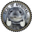 linkofthenorth