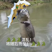 杨晟波波龟
