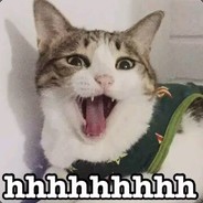 蠢萌蠢萌的文文