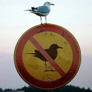 不知所措的玛卡巴卡