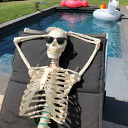 死道友不死贫道