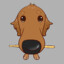 Snail Dog