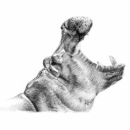 击穿の光环-萧何马