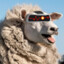 SheepyTheBotT