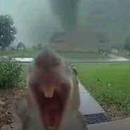 федя майонез