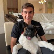 我不跳伞只是一味的刷