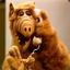 alf