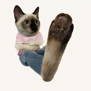 富强 民主 文明 和谐