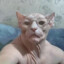 Hellcat Human