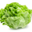 Lettuce