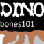 dino_bones