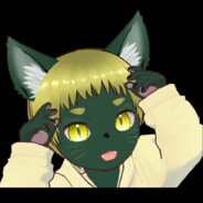 Kiwicat