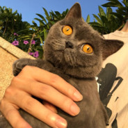 骚气爆表的老洪