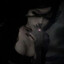 SHAD0W