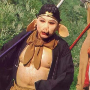 净坛使者---躺赢王八戒