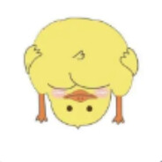 小鸡吃你不吃米