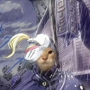 周旋（考研失败版）