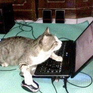 我真的不是来玩圆神的