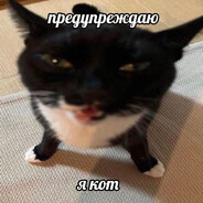 Kot_Miarkys ❤ ника  ❤