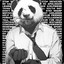 {PANDA MR.}