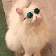 surprise-