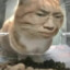 一眼大开门
