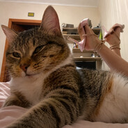 BiuBiu♥