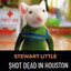 Stewart