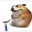 fsgxfsecgsd