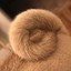 PugCurl