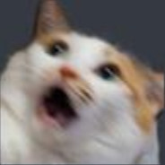 CoolCat avatar