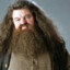 Rubeus Hagrid