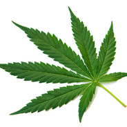CANNABI"SS