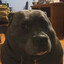 BiggyBiscuit