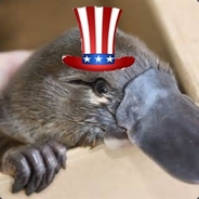 PatrioticPlatypus