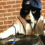 Lil Rufus on the beat